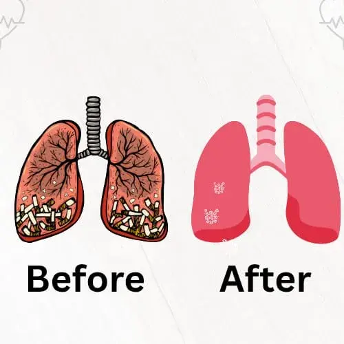 Buy Breathe